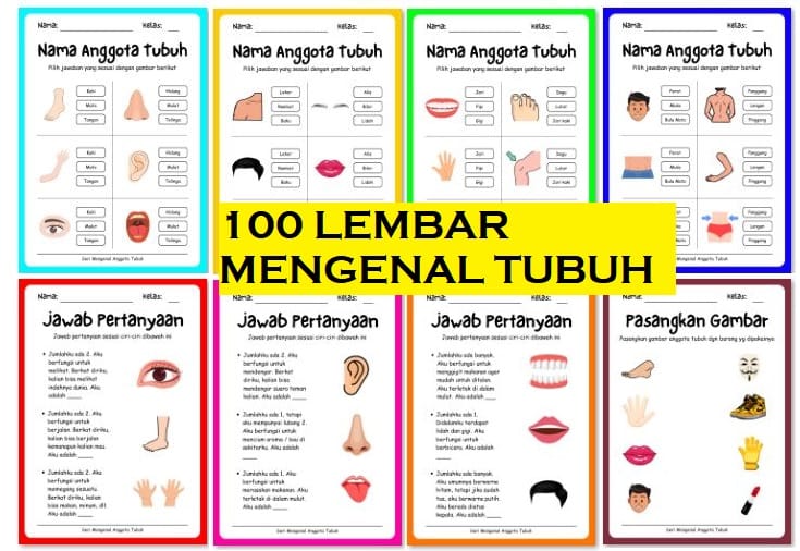 Worksheet Lembar Kerja Anak Usia 2-5 Tahun PAUD/TK/SD
