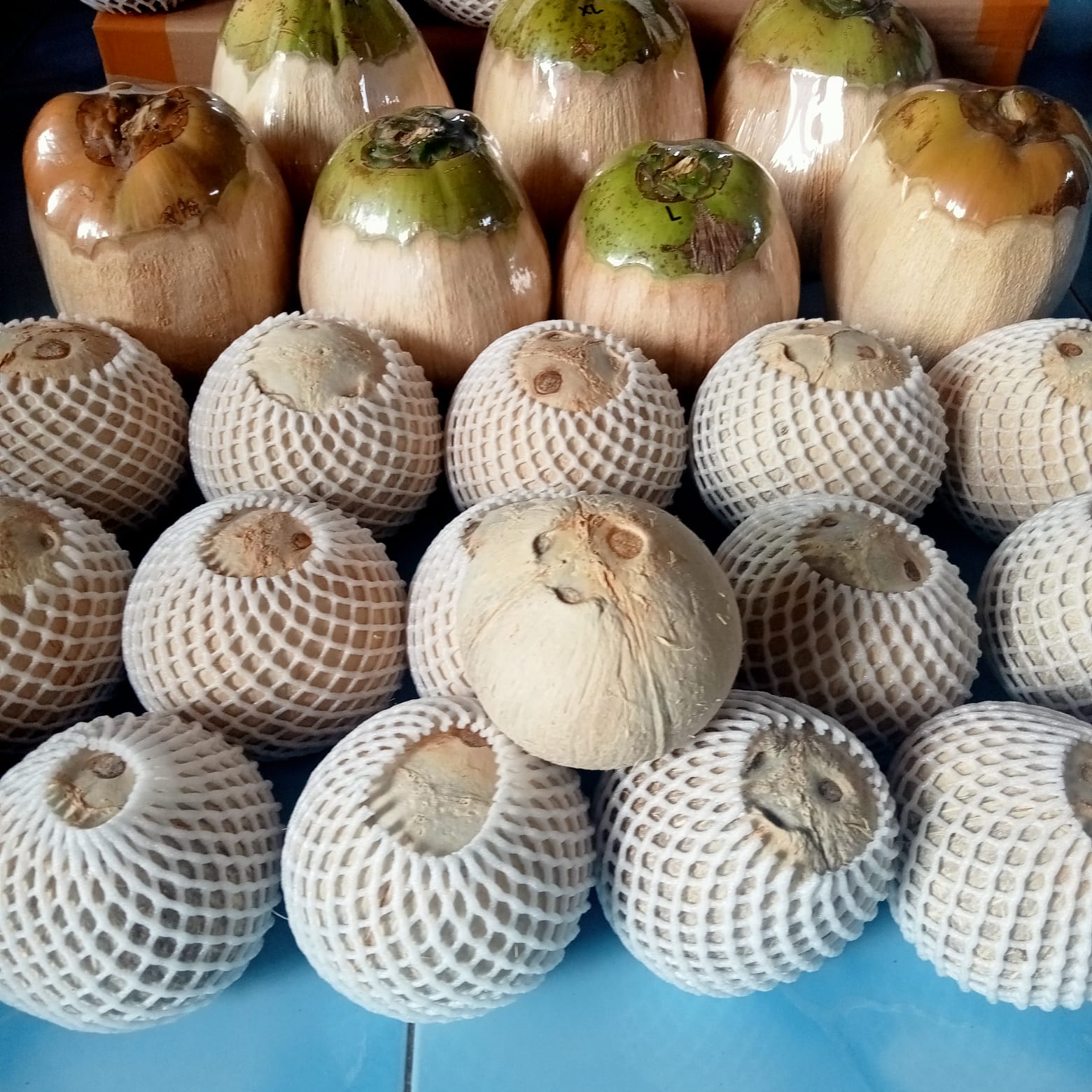 KELAPA KOPYOR META logo