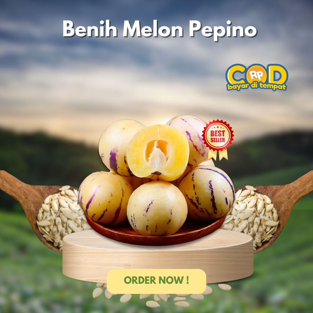 Benih Melon Pepino Tiktok logo