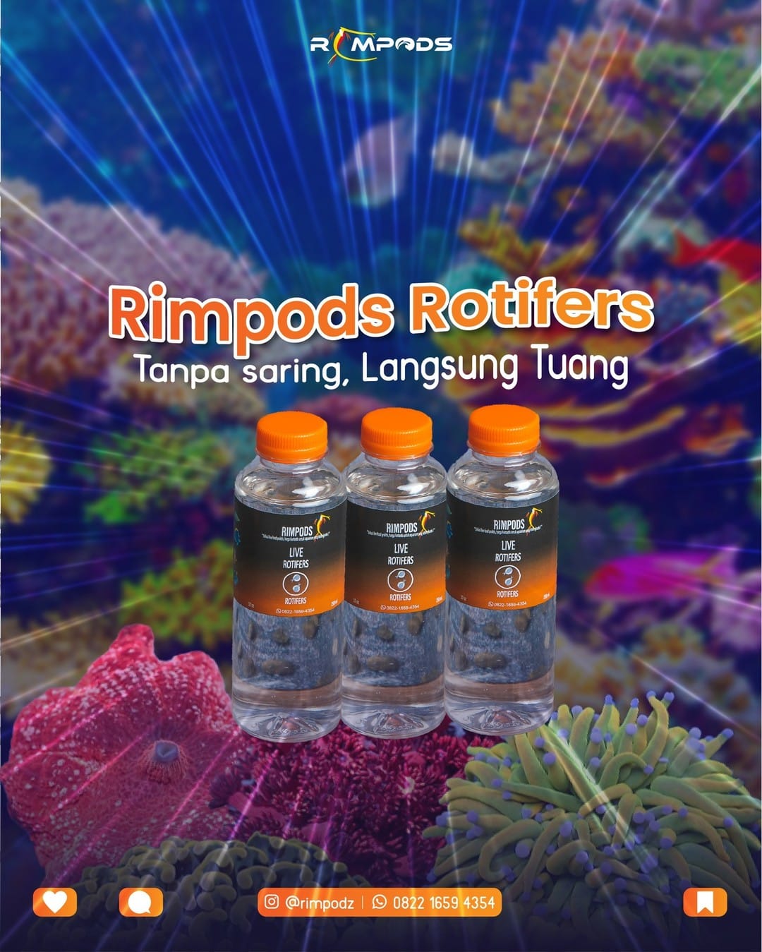 Rimpods paket Hemat