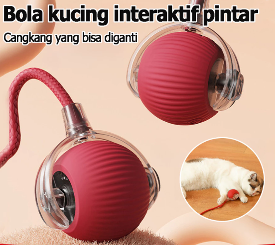 Toycat (bola mainan kucing) logo