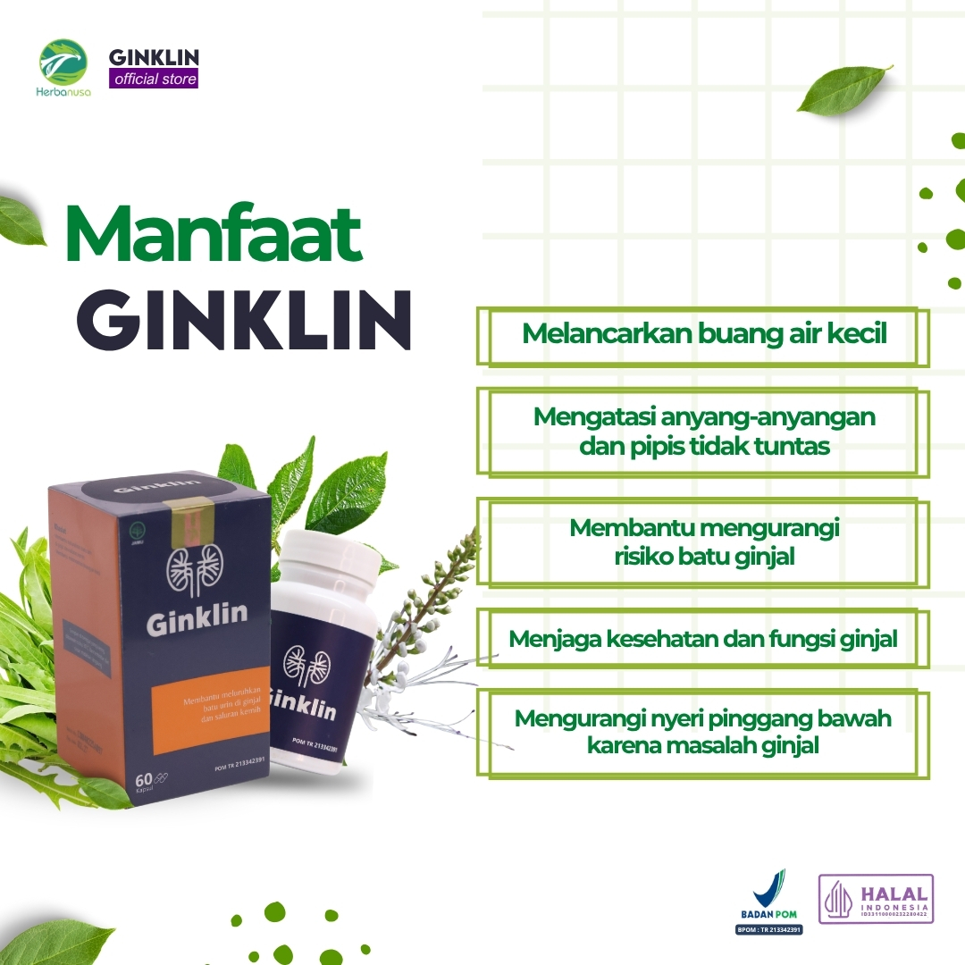 Ginklin Official 60 Kapsul + BONUS Checklist, Tracker Minum & E-book Batu Ginjal
