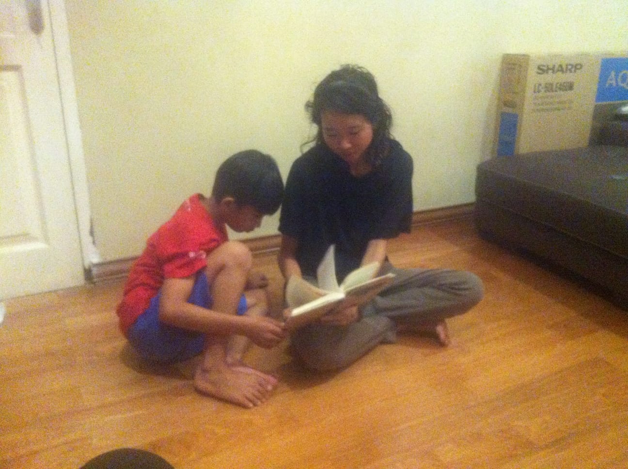 Strategic Family Therapy for Autism (SEFTA)