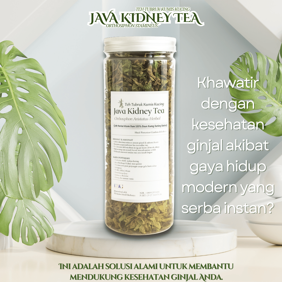 Teh Pemecah Batu Ginjal Kumis Kucing Orthosiphon Stamineus Java Kidney Tea