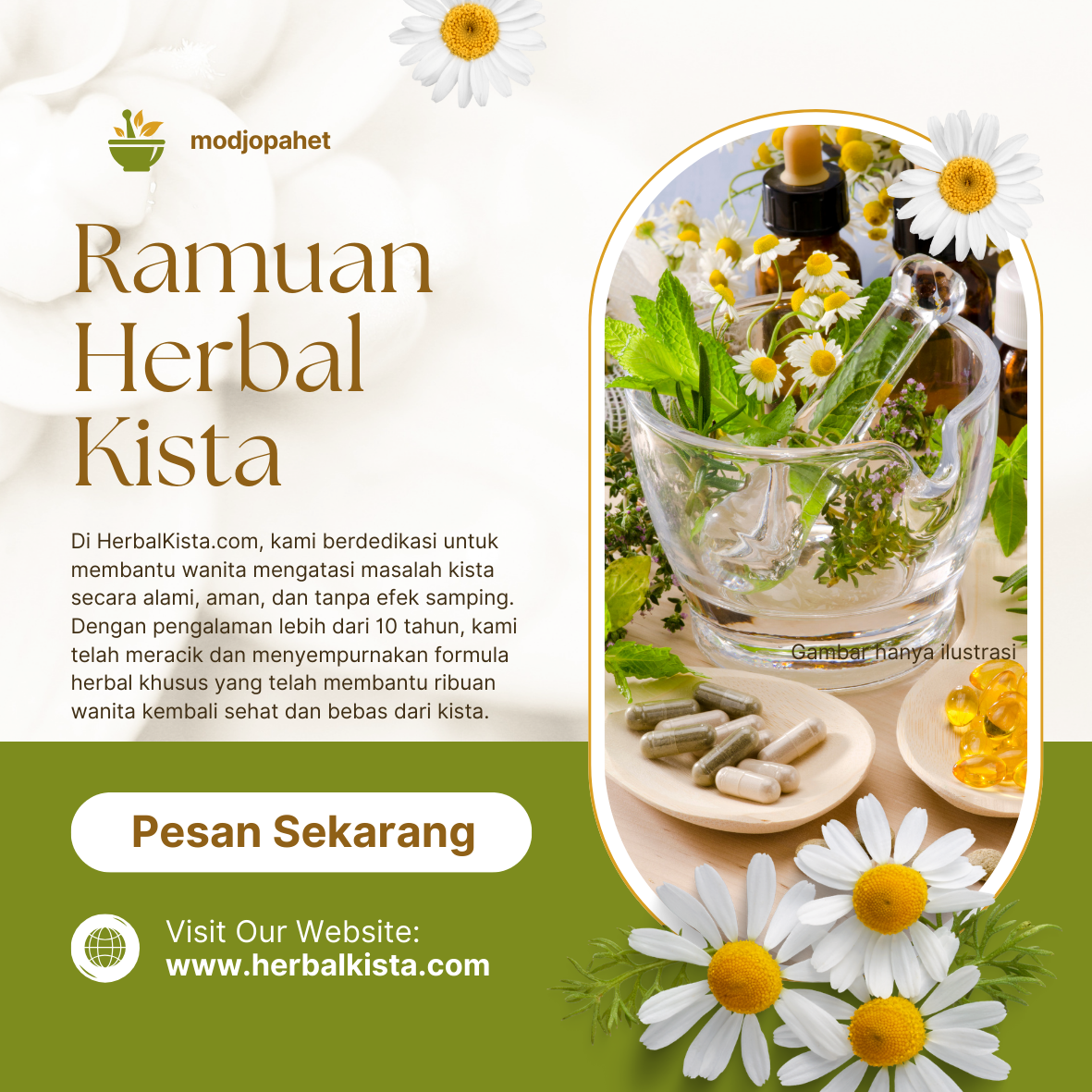 Herbal Kista logo
