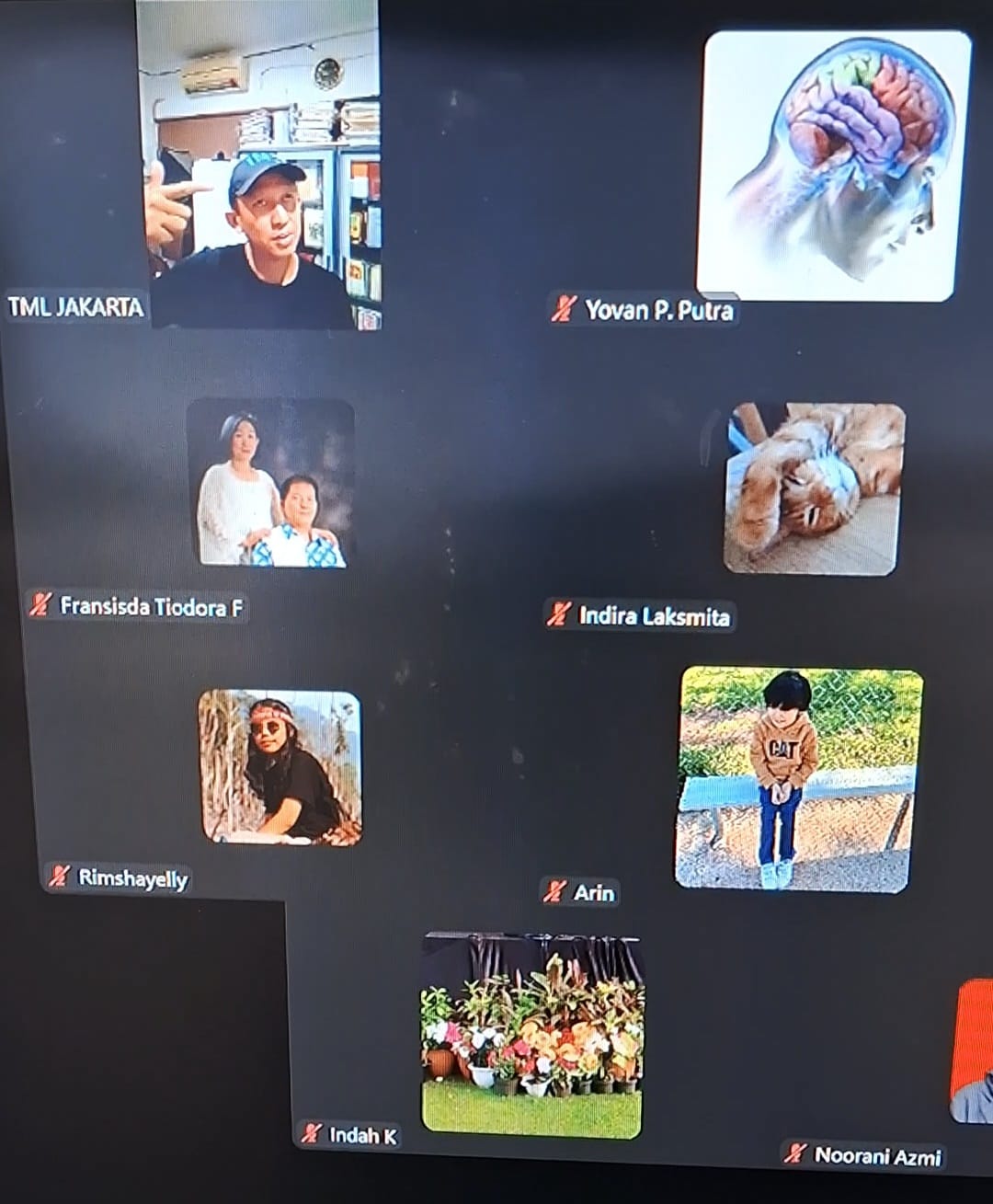 TRAINING ONLINE TERAPI AUTISME (TOTA)