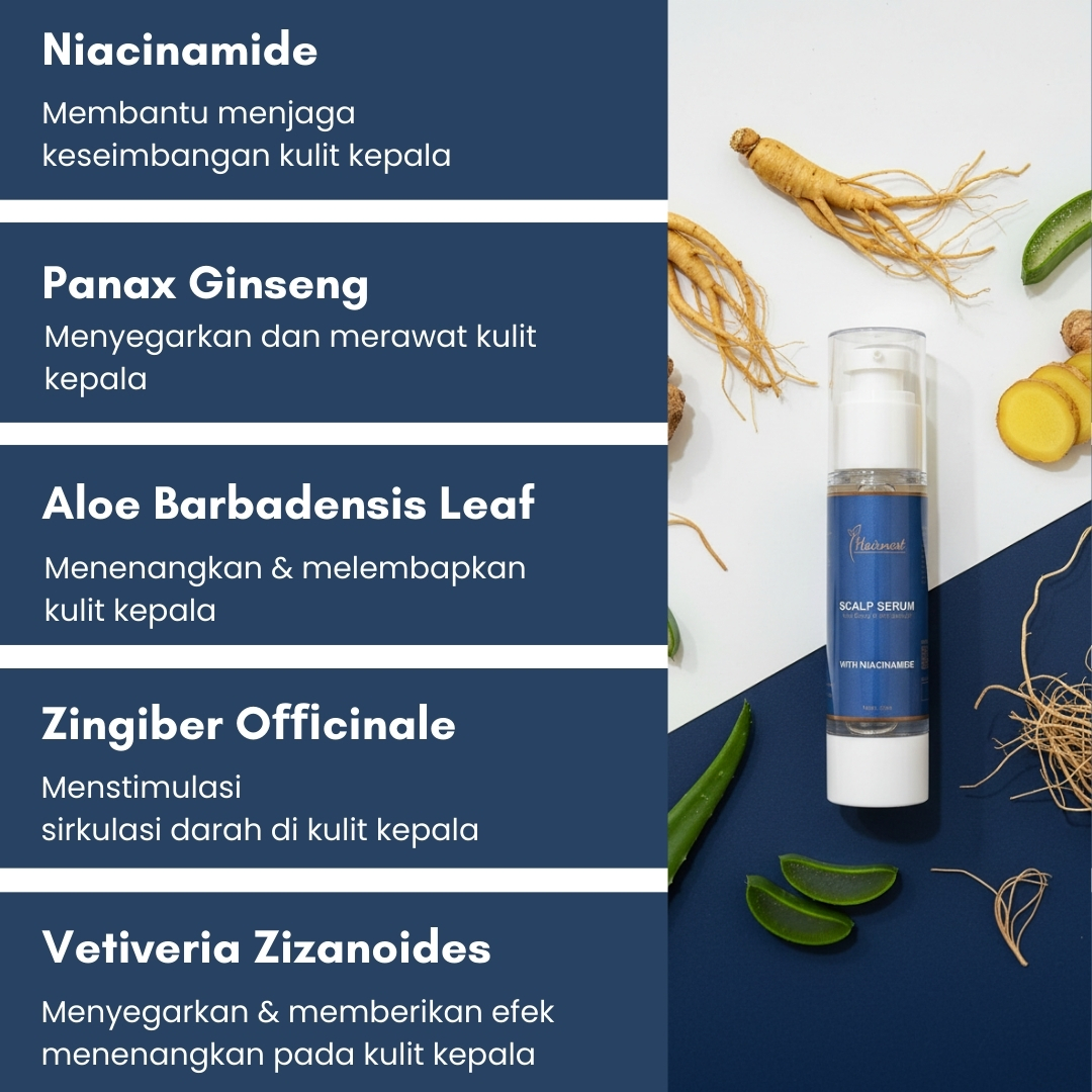 Hairnest Scalp Serum with Niacinamide