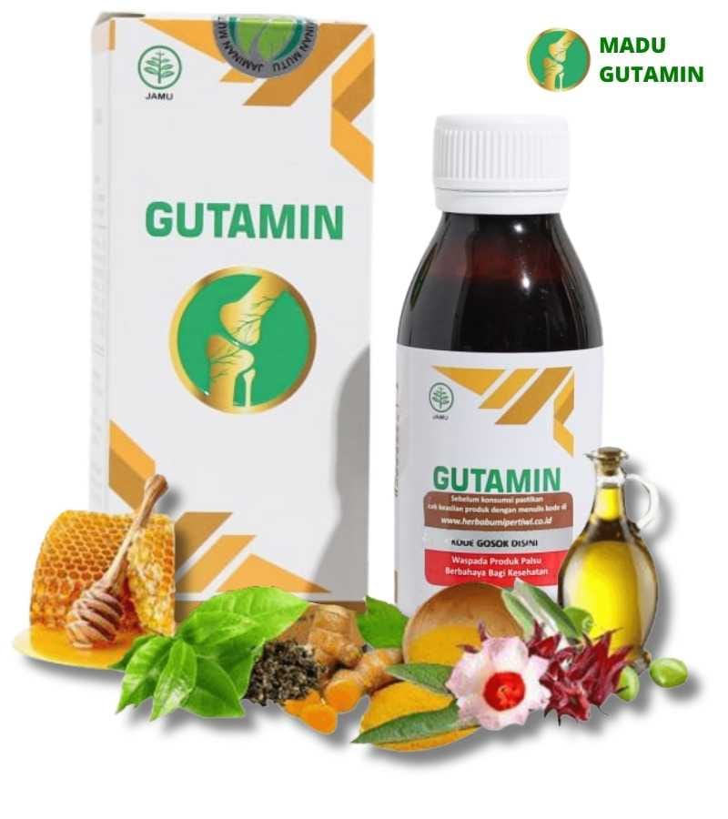 GO2-Gutamin logo