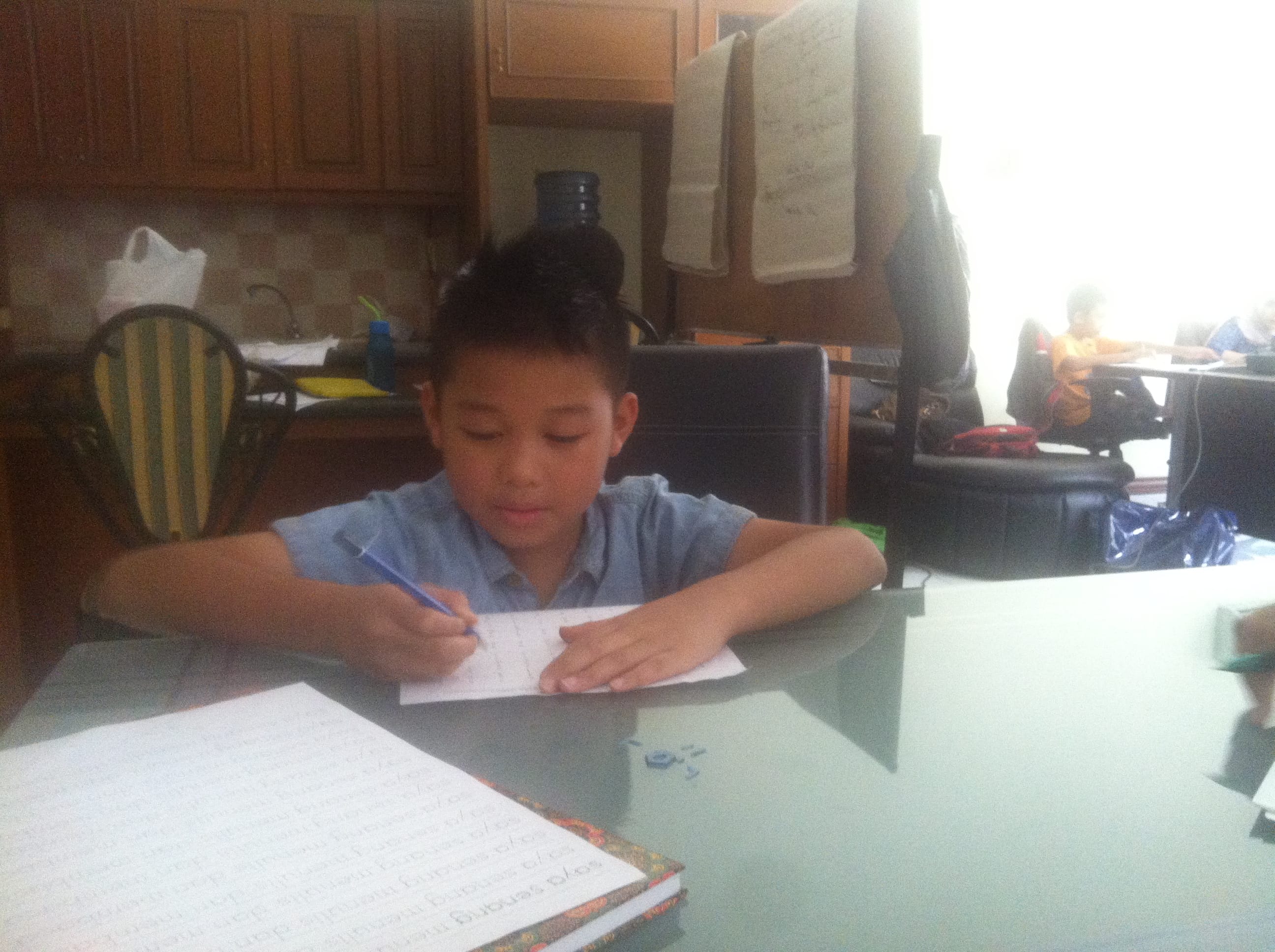 Strategic Family Therapy for Autism (SEFTA)