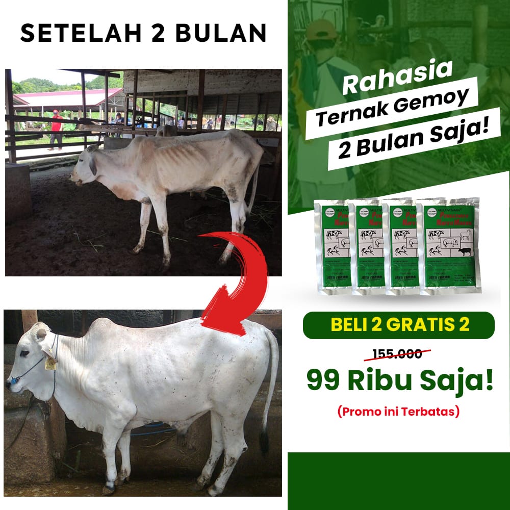 Multivitamin Penggemuk Sapi logo