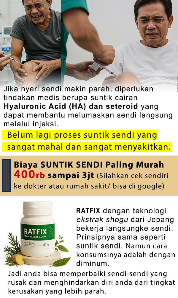 [Kode-RP] RATFIX OBAT HERBAL ASAM URAT