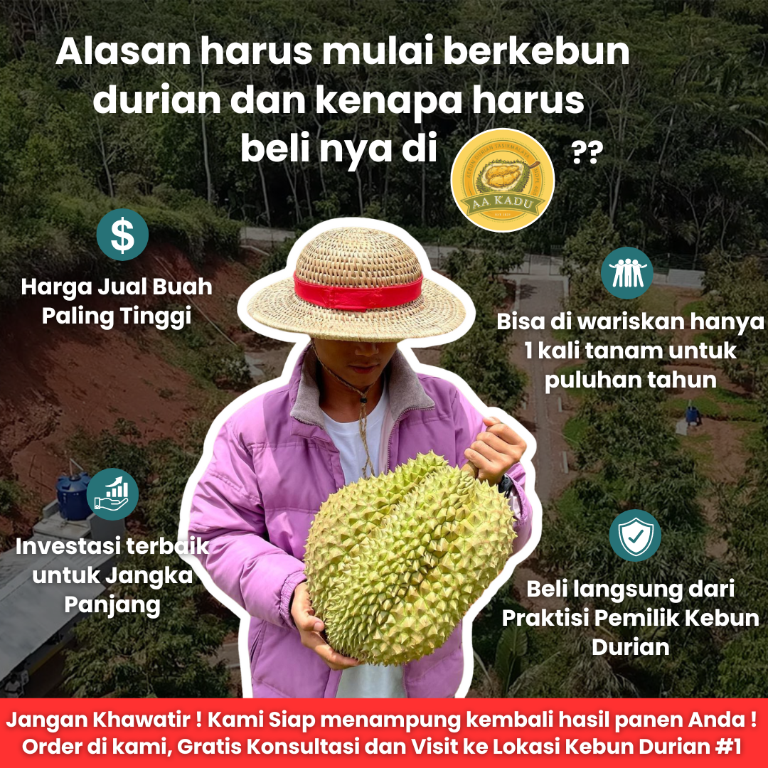 Paket 3 Bibit Durian Premium by AADUREN Tasikmalaya - DGMT