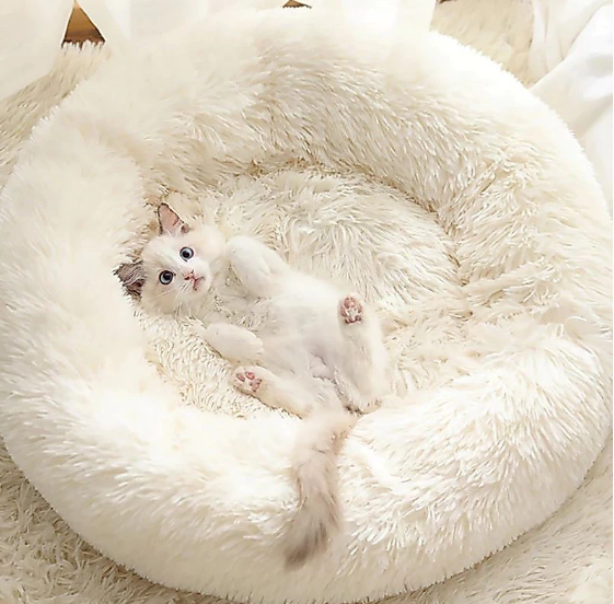 PILLOWROUND (BANTAL KUCING) logo