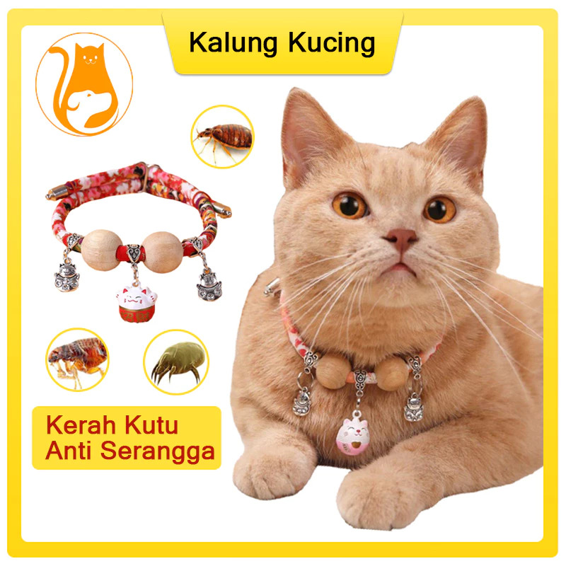 KALUNG KUCING ANTI KUTU - DF logo