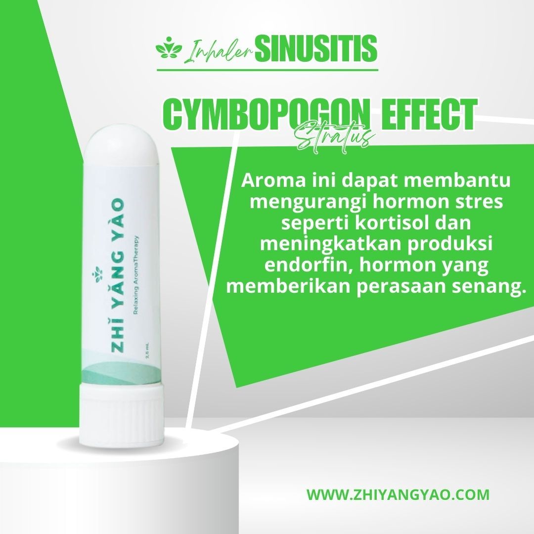 INHALER ZHI YANG YAO SINUSITIS AD T