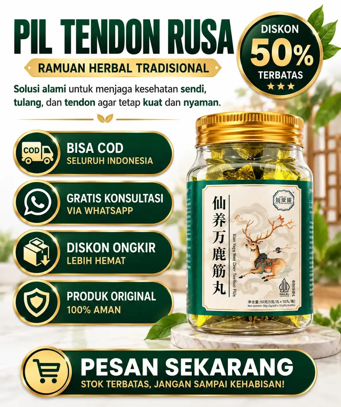 Pil Tendon Rusa - NDR logo