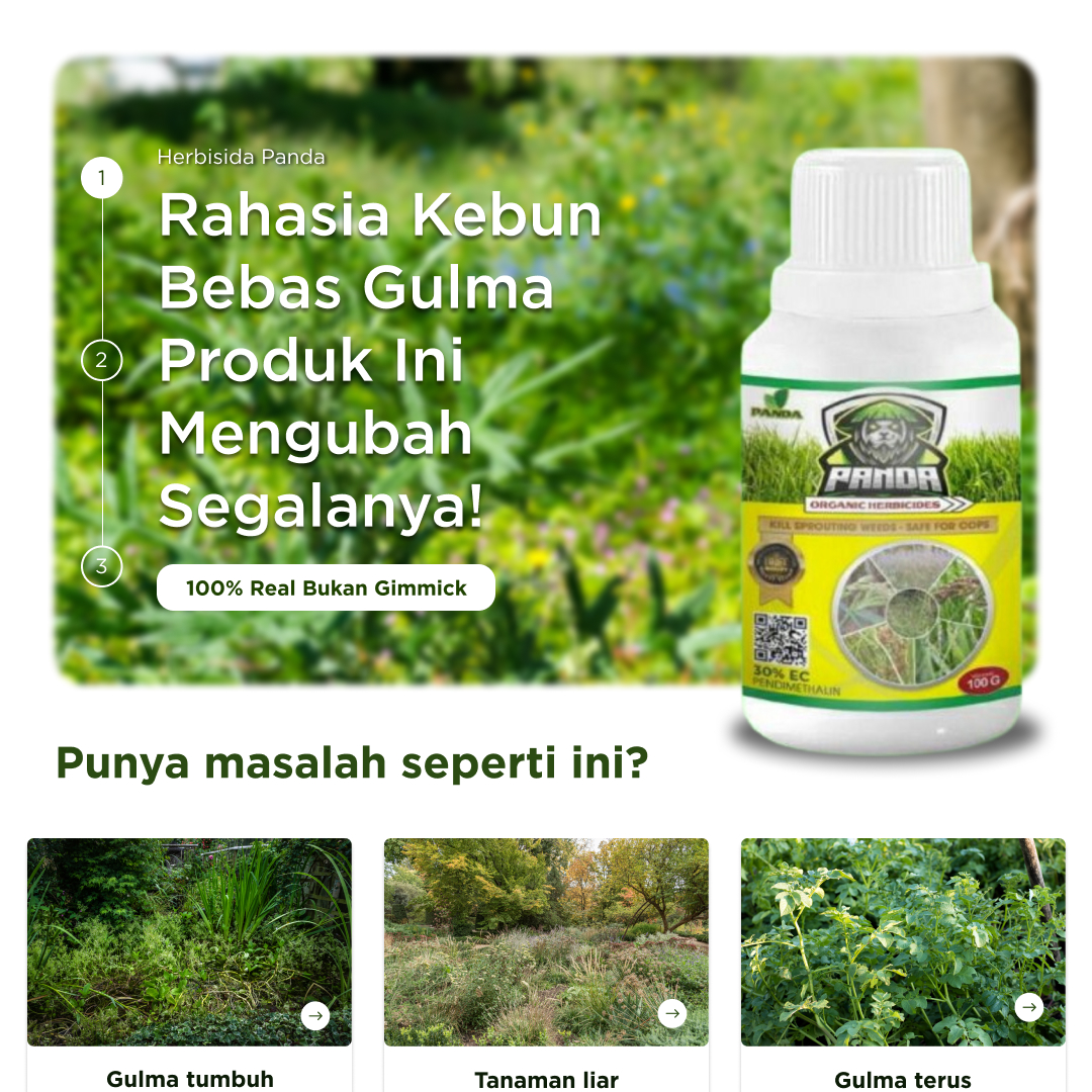 Kill Grass Panda logo