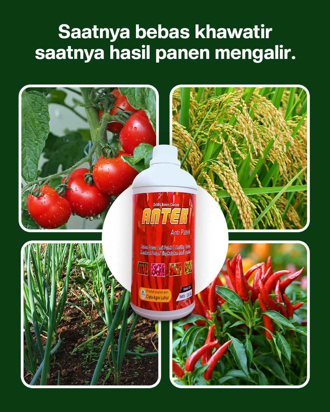 PUPUK ANTEK TANAMAN G1