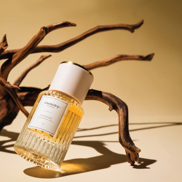 Bottle Cleaner Brush Detail