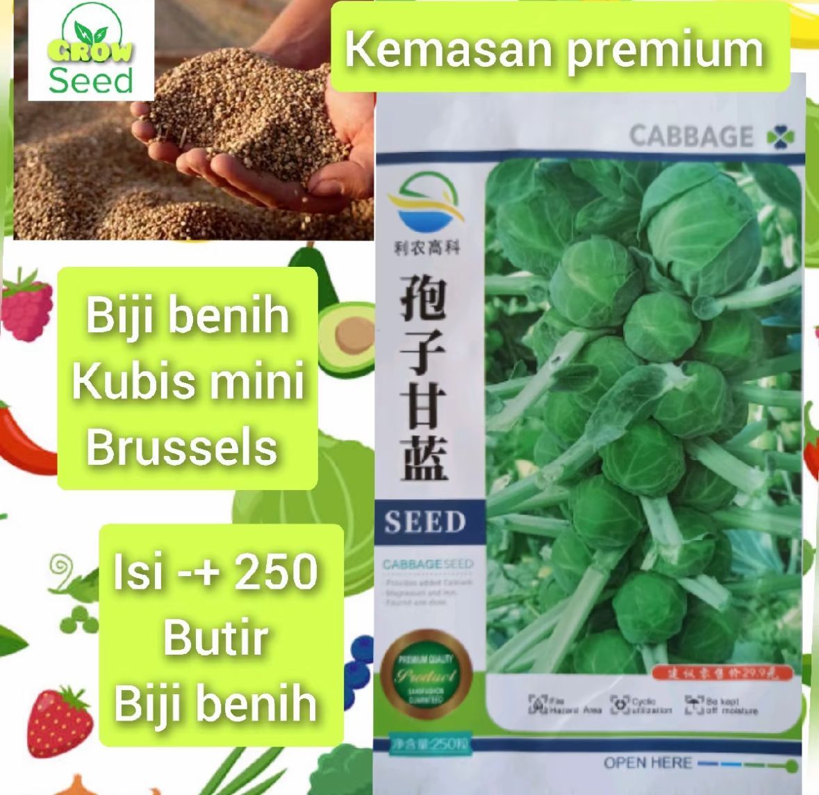 bibit kol brusel beli 1 gratis 1 U logo