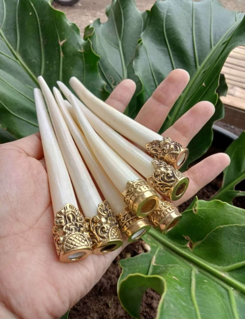 ONCE PIPA TULANG SAPI new logo