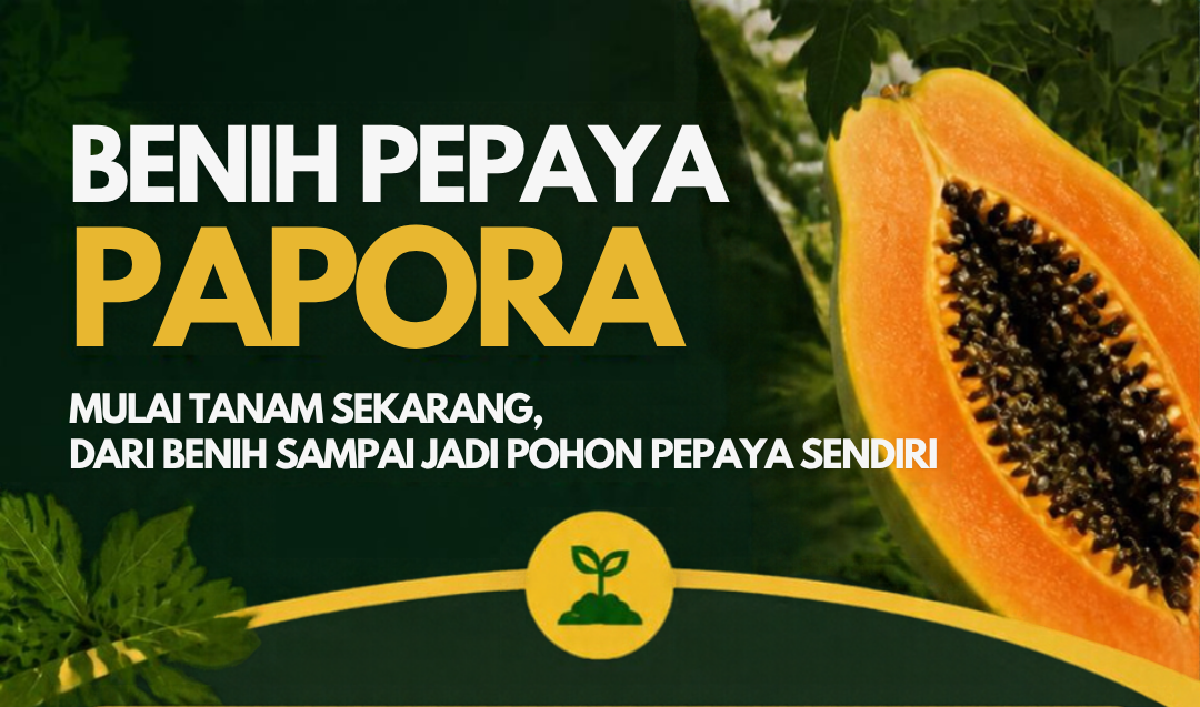 PAPORA (Benih Pepaya Jumbo Super Manis) logo