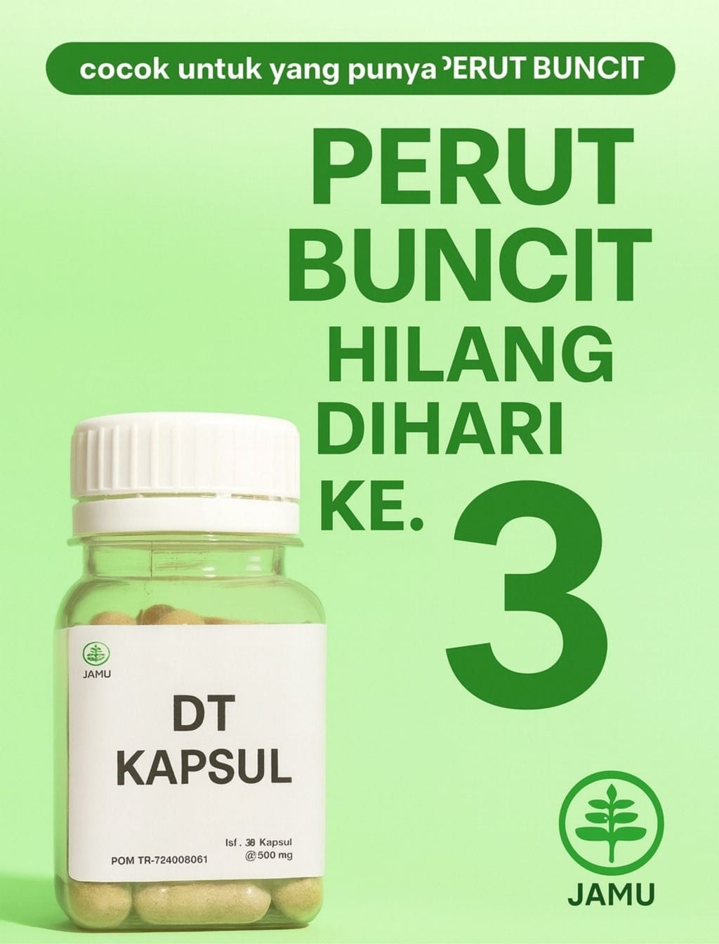 kapsul-dt logo