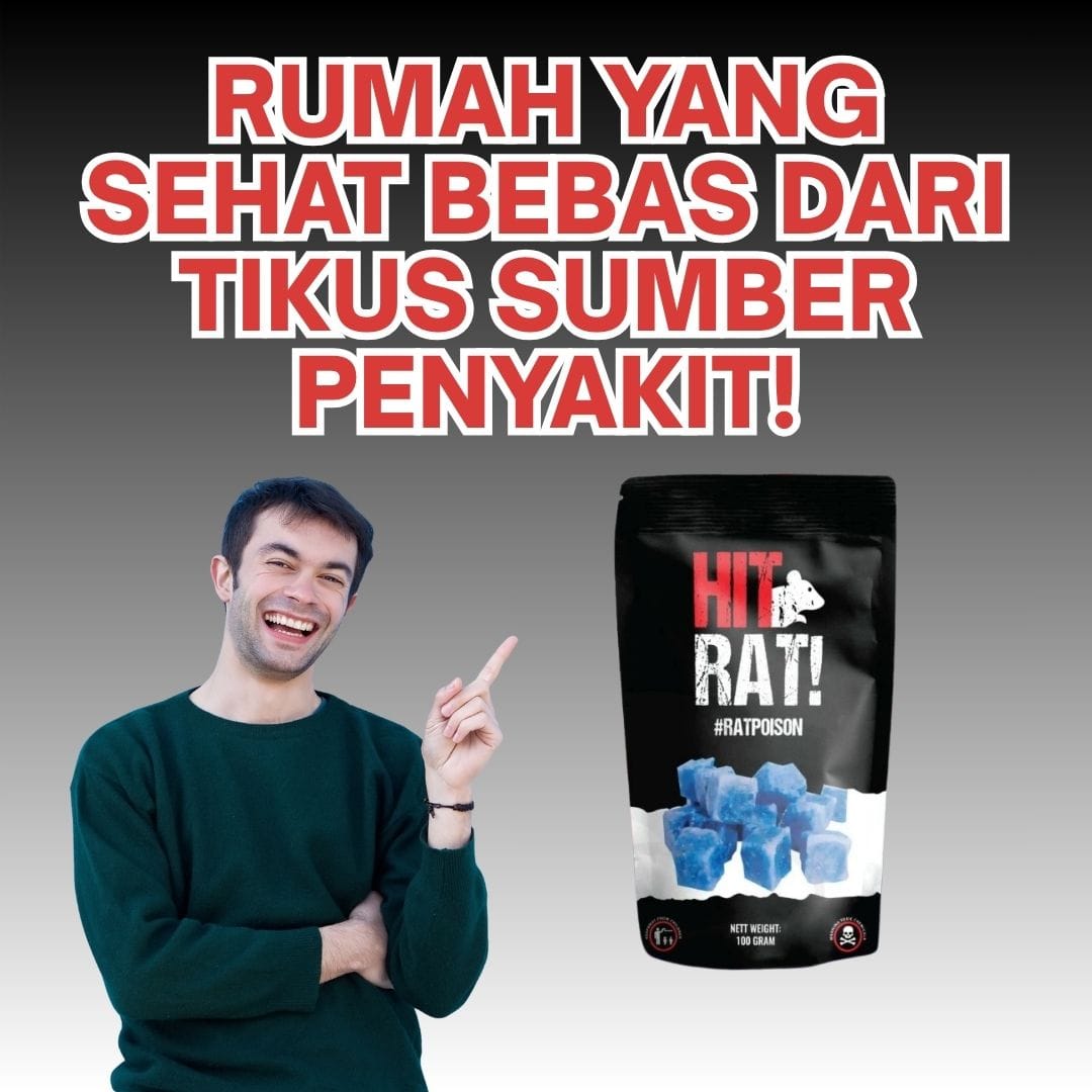 Hit Rat Poison Google logo