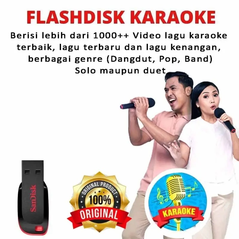 Flashdisk Karaoke logo