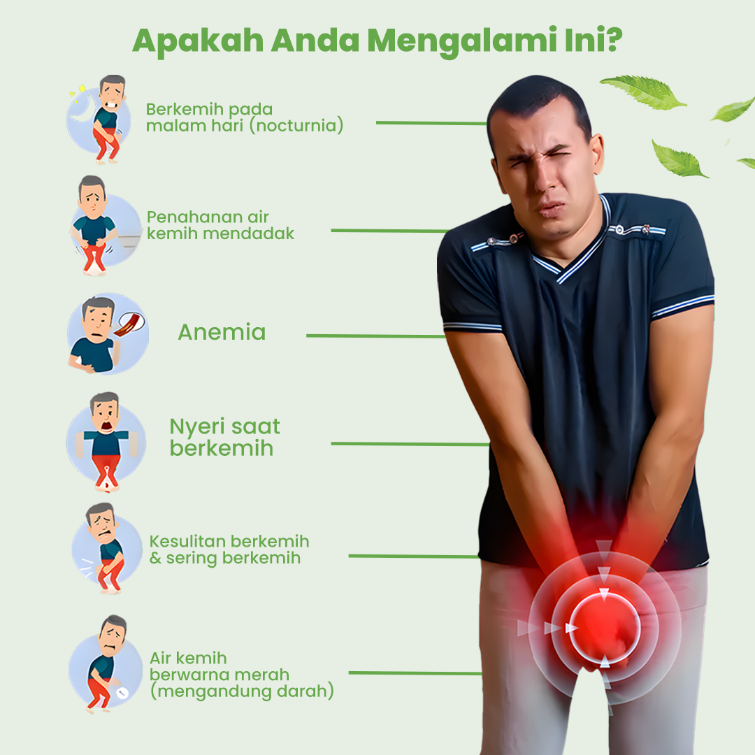 NEPROHERB : UNTUK BATU GINJAL DAN SALURAN KENCING (A)