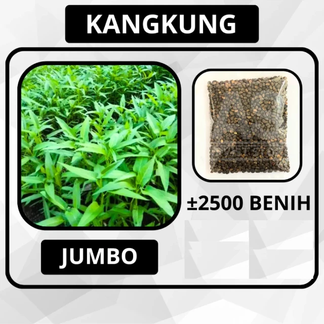 2500 Butir Benih Kangkung SUPER JUMBO - X1 LD logo