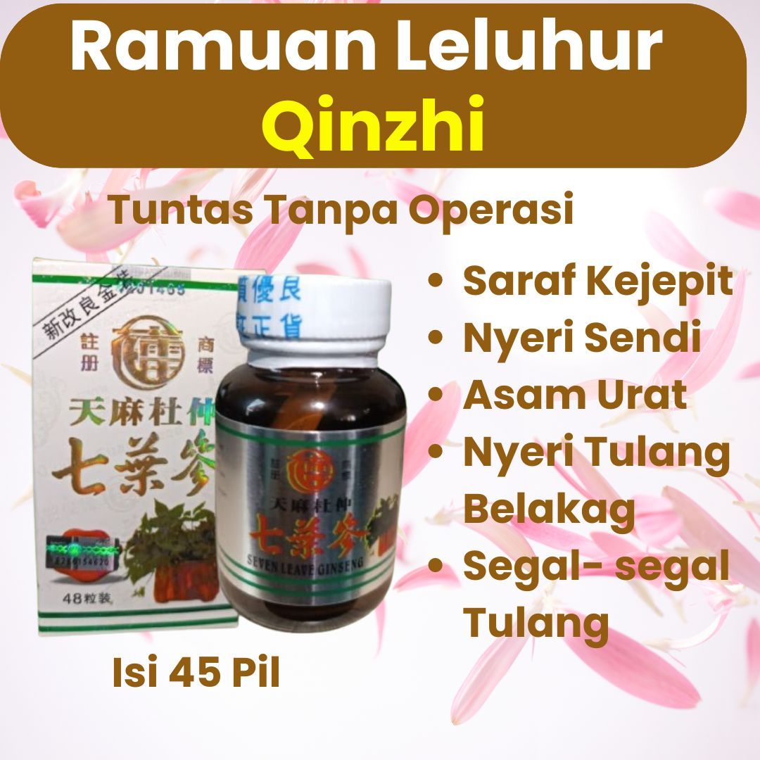 (T) Ramuan Leluhur Qianzhi G logo