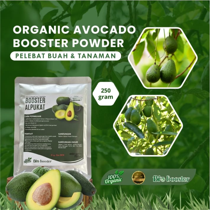 Booster Alpukat Organic GG