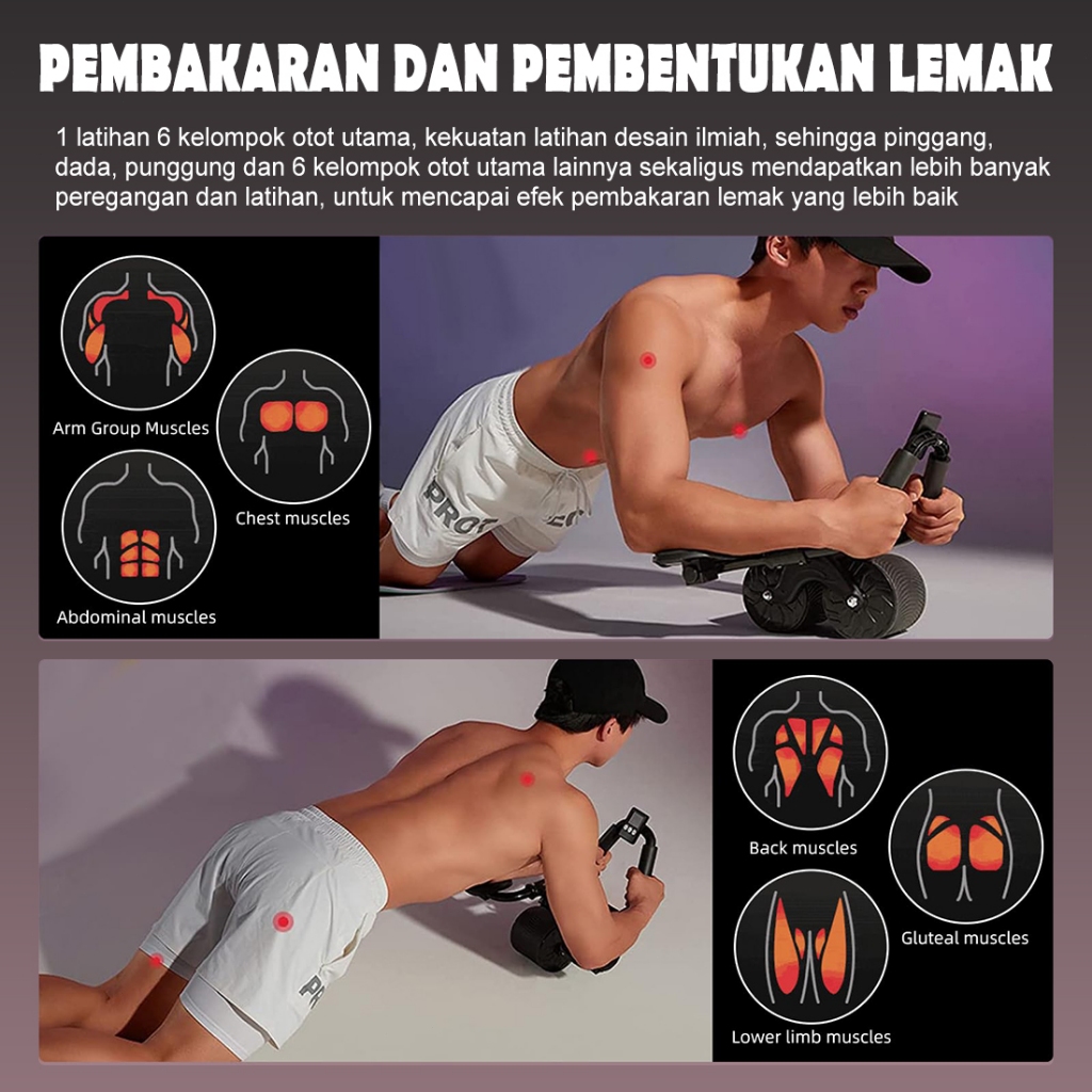 Roller Gym Fitness ✨