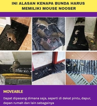 Karpet Lem Tikus (Beli 1 Gratis 1)💰 logo