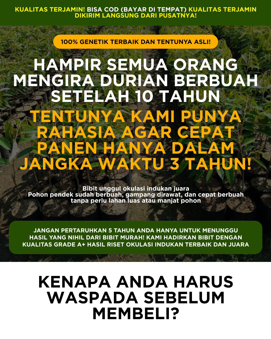 Benih Durian A+ logo