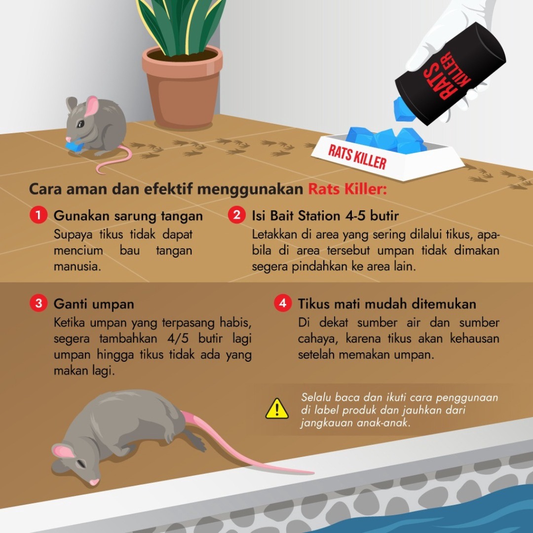 racun tikus -tt - ayu 21