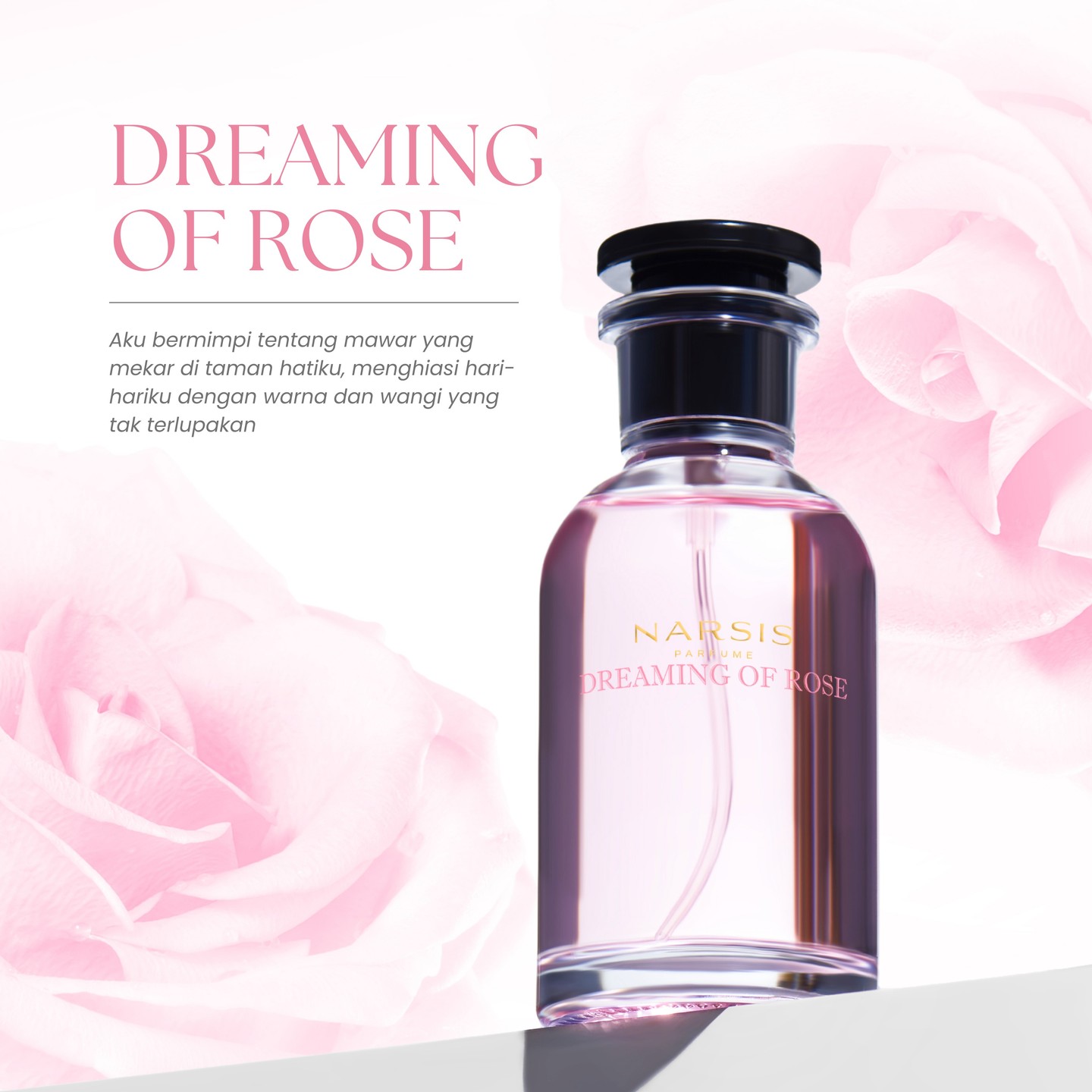 Narsis Dreaming Of Rose - FP