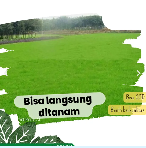 Rumput Hias FR6 logo