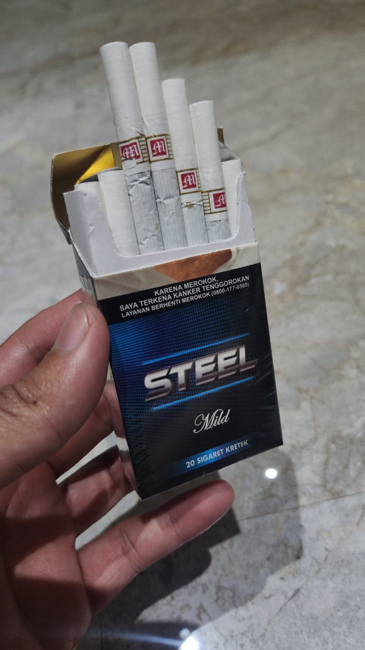 STEEL MILD logo