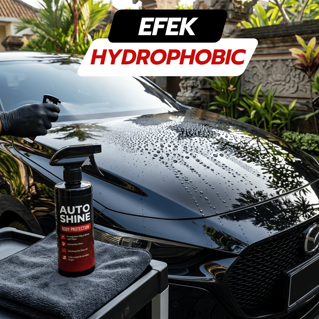 Max Auto Shine
