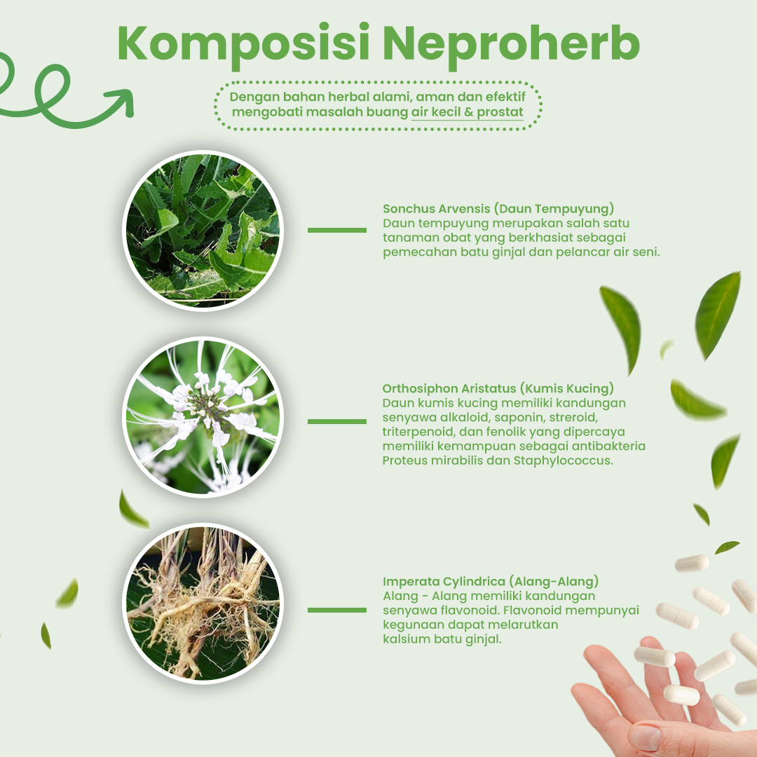 NEPROHERB : UNTUK BATU GINJAL DAN SALURAN KENCING (A)