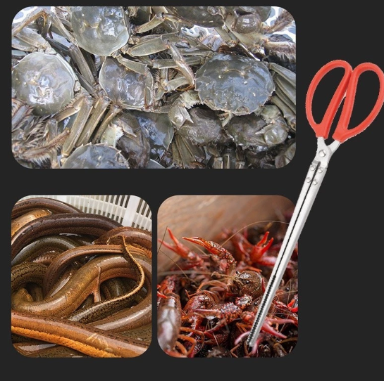 GripCatch Capit Kepiting & Belut logo