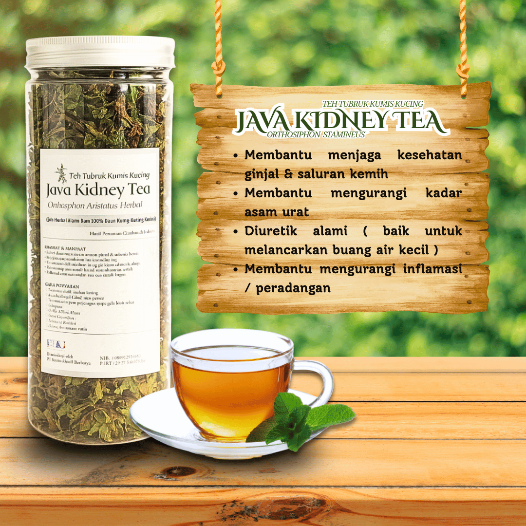 Teh Pemecah Batu Ginjal Kumis Kucing Orthosiphon Stamineus Java Kidney Tea