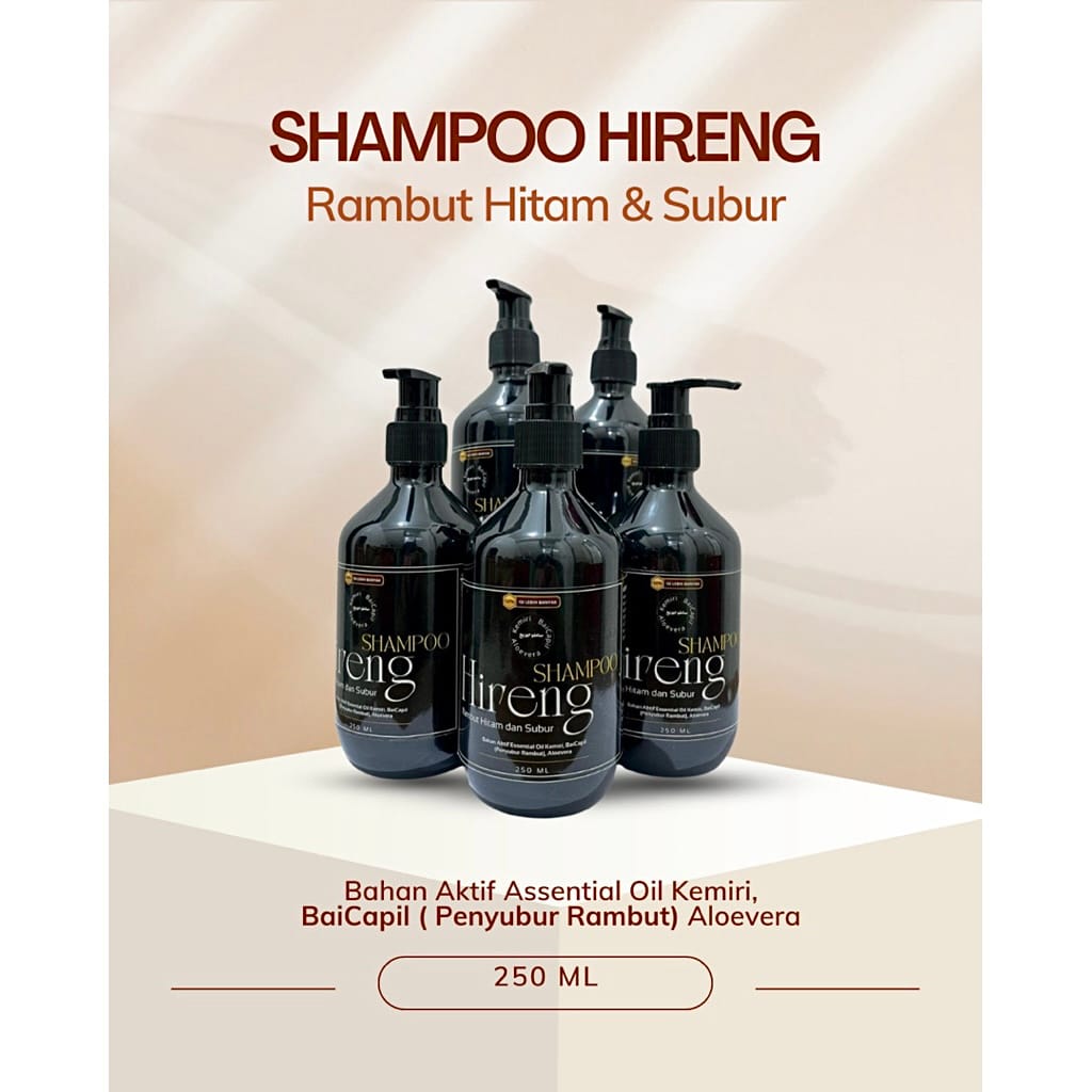 HIRENG logo