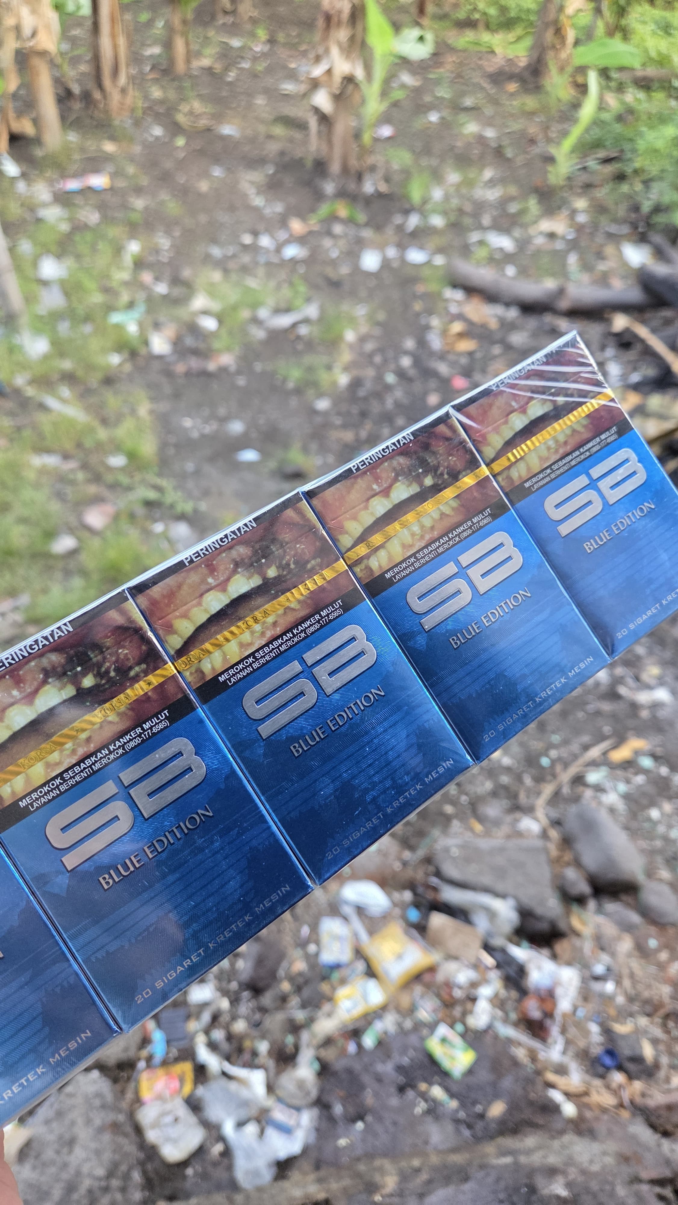 SENDANG BIRU - BLUE logo