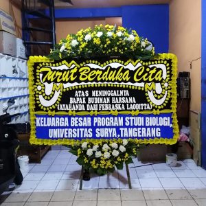 Duka Cita DC16 logo
