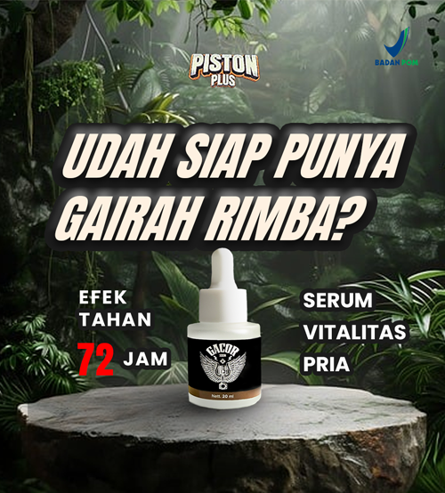 {{ PAKET KOMPLIT GACOR DI RANJANG }} PISTON GACOR PLUS
