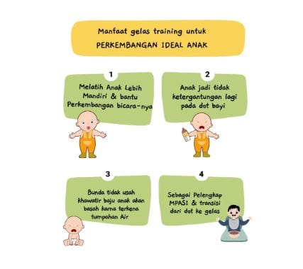 Gelas Anak Premium ✨