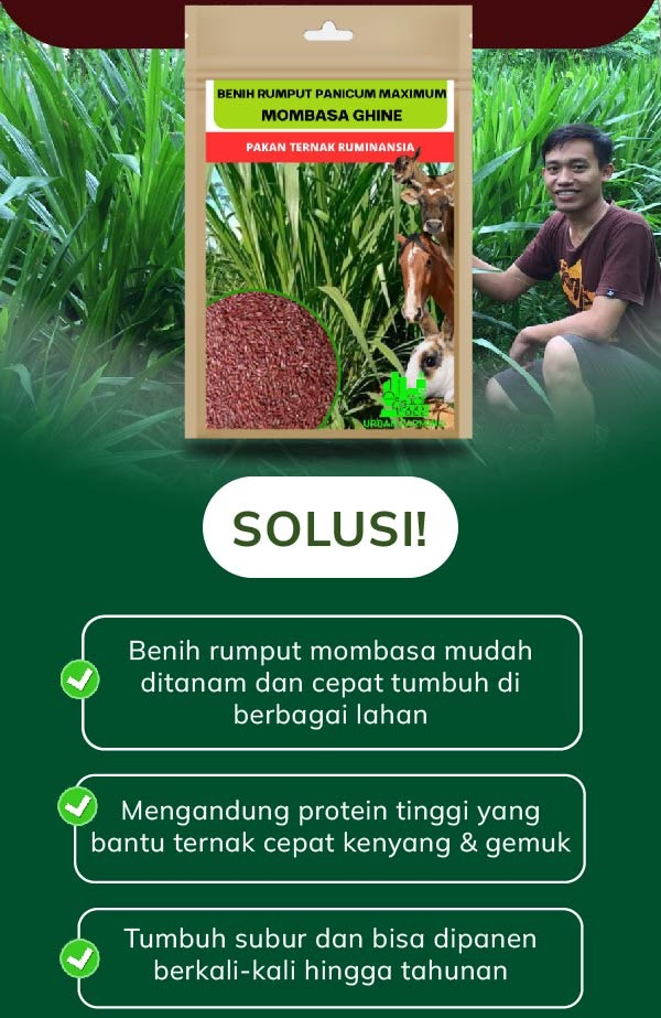 PASTURA (Benih Rumput Pakan Ternak) logo